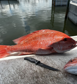 Florida’s waters, where legends are made